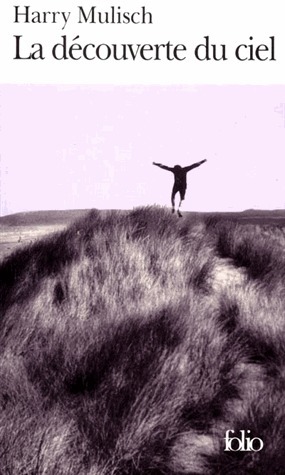 PDF-EPUB-La-decouverte-du-ciel-by-Harry-Mulisch-Download.jpg