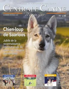 centrale_canine_2025_11_12_fr_downmagaz_net.jpg