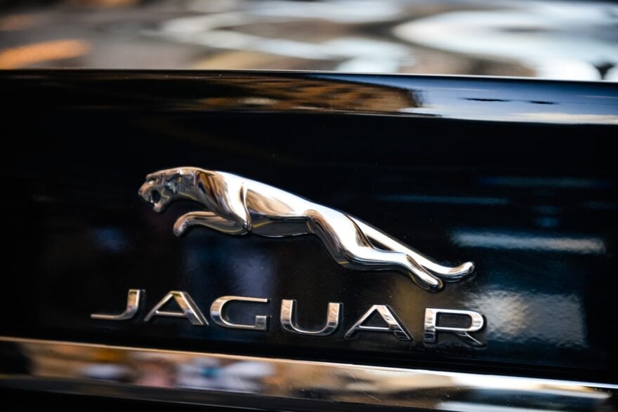 Jaguar-880x587.jpg